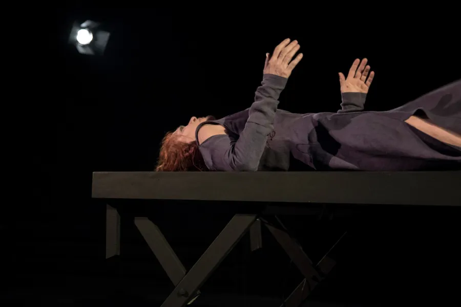 zdjęcie ze spektaklu Cień, fot.  Sergiusz Sachno 