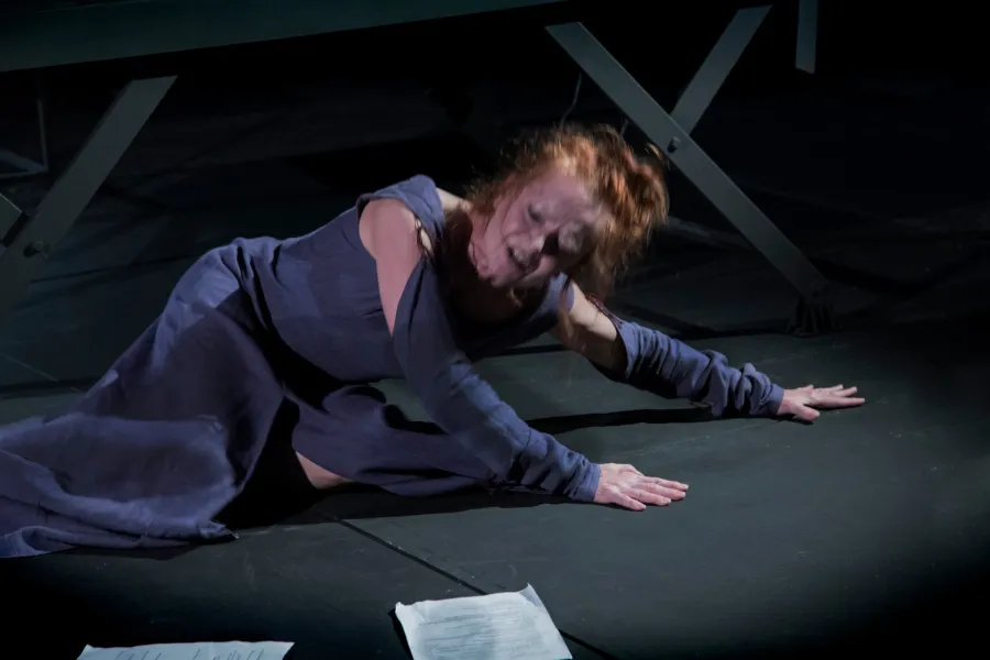 zdjęcie ze spektaklu Cień, fot.  Sergiusz Sachno 