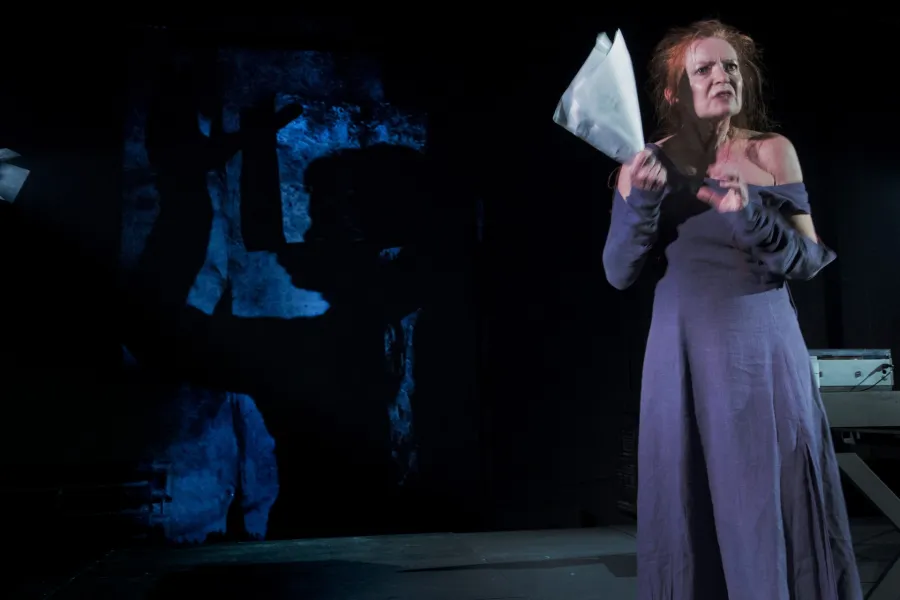 zdjęcie ze spektaklu Cień, fot.  Sergiusz Sachno 