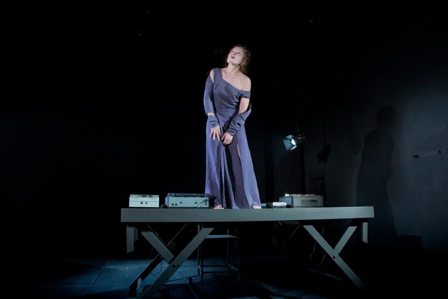 zdjęcie ze spektaklu Cień, fot.  Sergiusz Sachno ak 