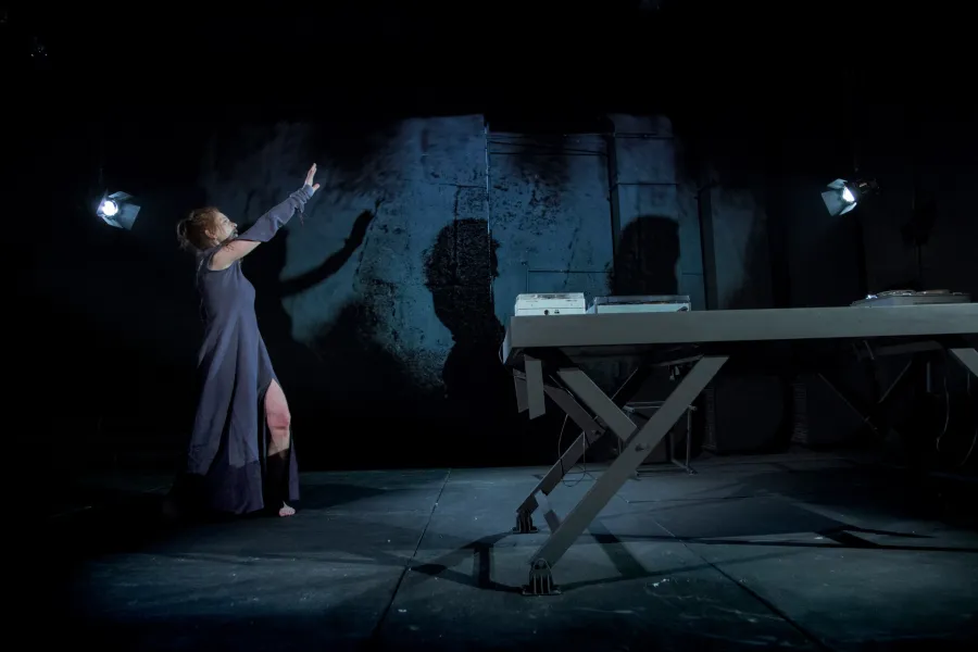 zdjęcie ze spektaklu Cień, fot.  Sergiusz Sachno 